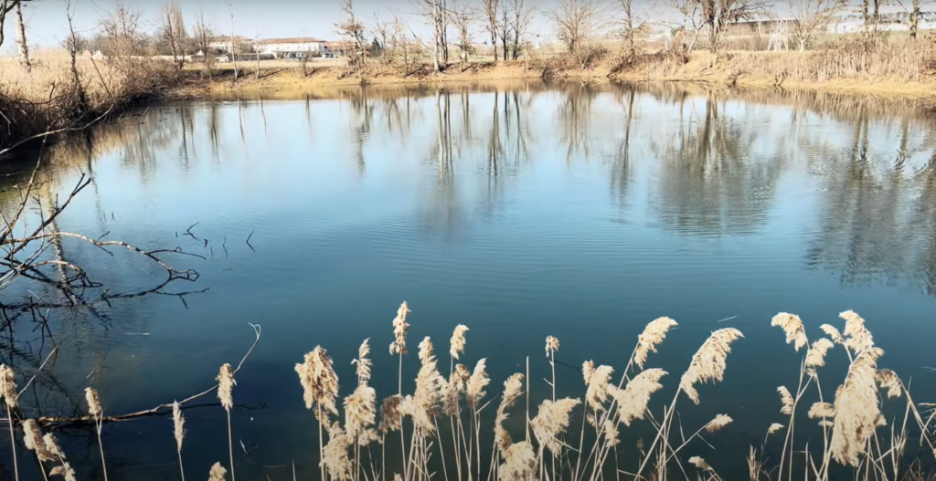 Lago di campagna