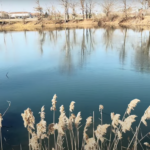 Lago di campagna